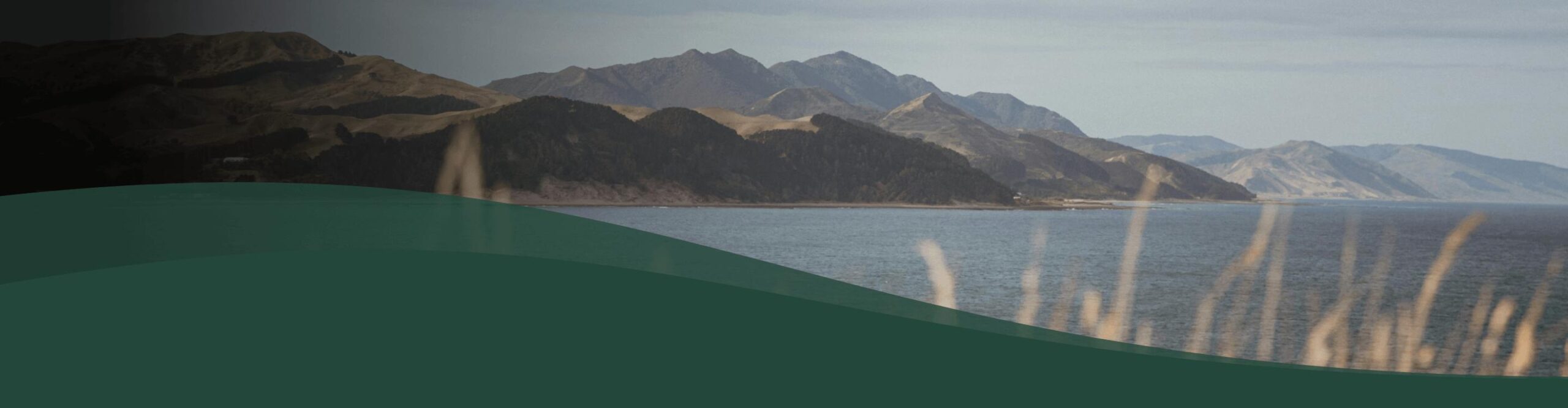 Header banner
